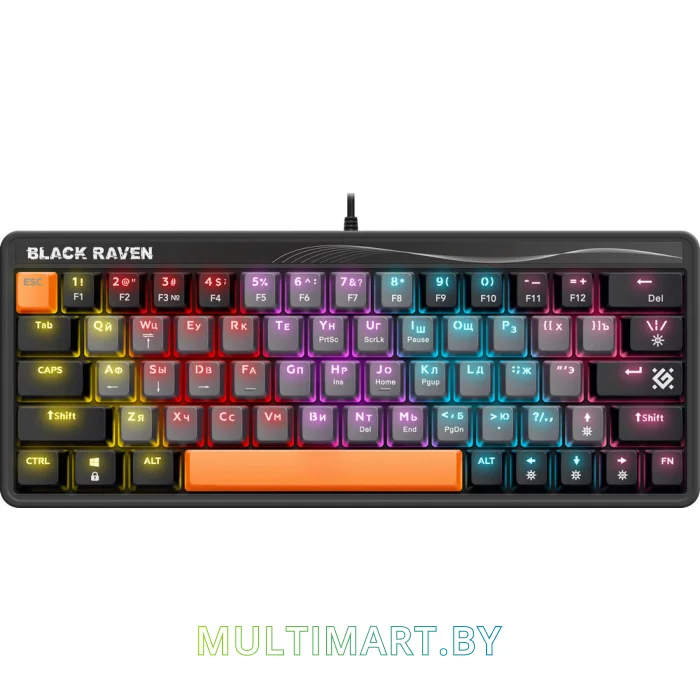 Клавиатура Defender Black Raven GK-417 (45413)